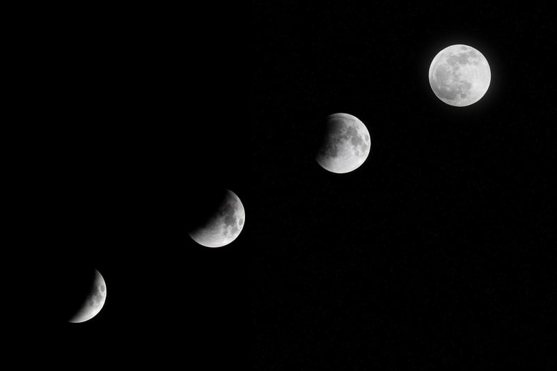 Moonlit Magic Image